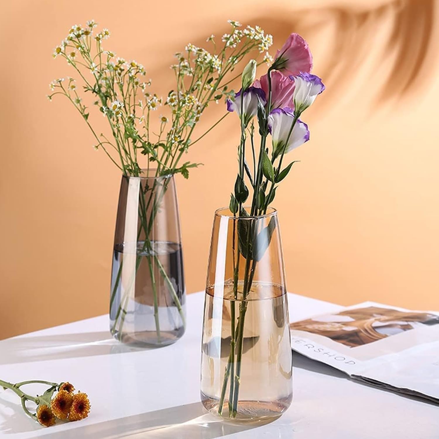 TIED RIBBONS Set of 2 Flower Vase for Home Décor (Black & Gold, 22.8 cm x 7.6 cm) - Decorative Trumpet Items for Living Room Dining Table Hall Bedroom Office Kitchen Gifting Decorations Items